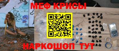 шишки Новодвинск