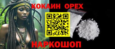шишки Новодвинск
