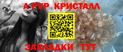 шишки Новодвинск