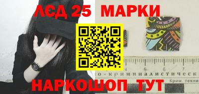 шишки Новодвинск