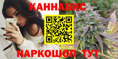 шишки Новодвинск