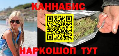 шишки Новодвинск