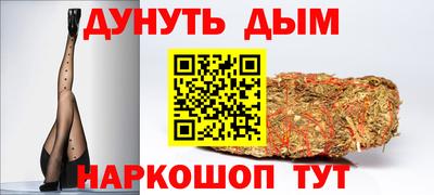 гашик Новозыбков