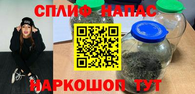 шишки Новодвинск