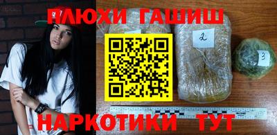 гашик Новозыбков