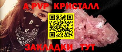 шишки Новодвинск