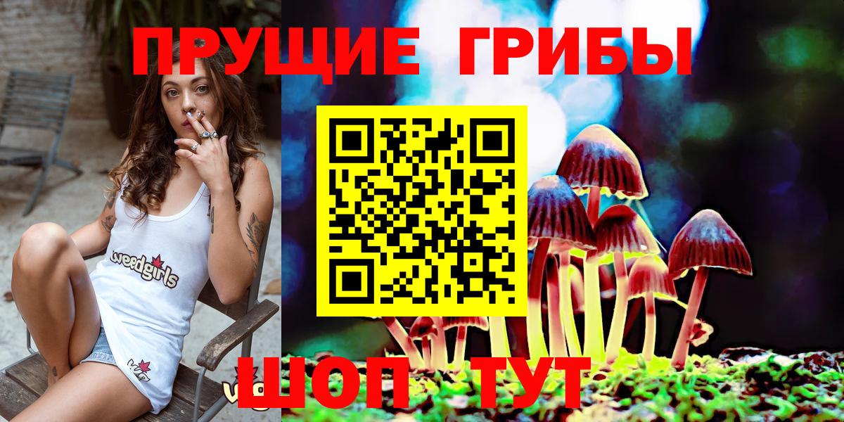 Тосно  где найти   Вход с VPN  Галлюциногенные грибы GOLDEN TEACHER 